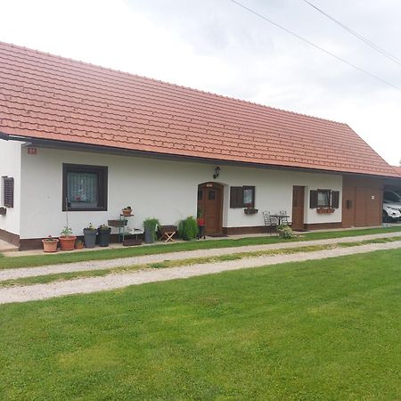 Apartma Vida Videm pri Ptuju Экстерьер фото
